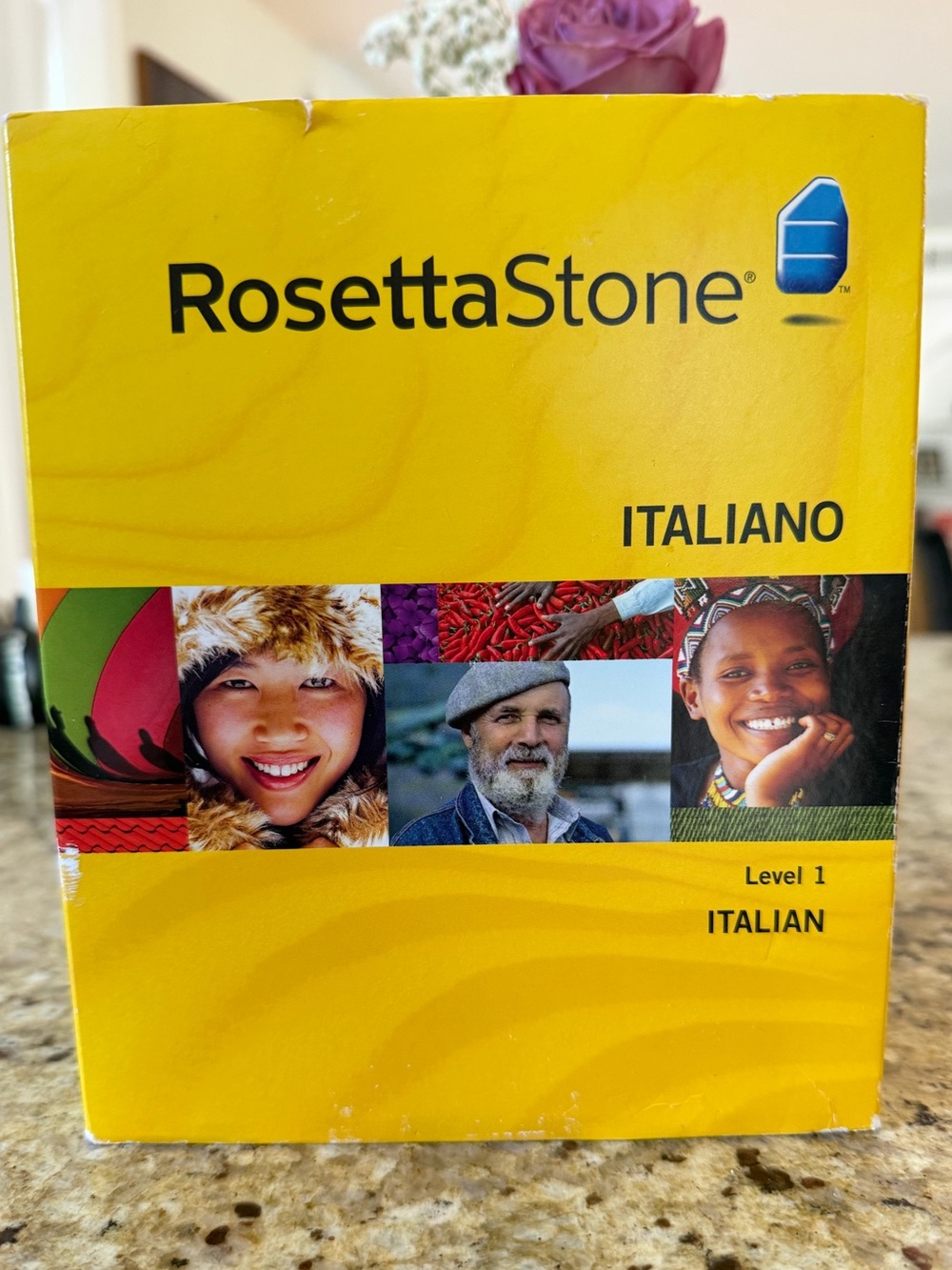 Rosetta Stone Italian Level 1 Language Software